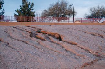  Erosion Control Blankets